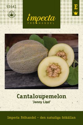 Melon, Cantaloupe-, 'Jenny Lind'