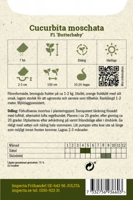 Pumpa, Mysk-, Butterbaby F1