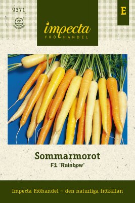 Morot, Sommar-, Rainbow F1