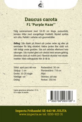 Morot Sommar F1 Purple Haze