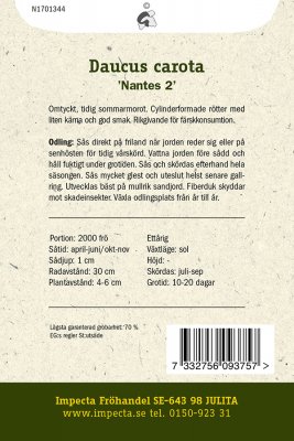 Morot, Sommar-, Nantes 2