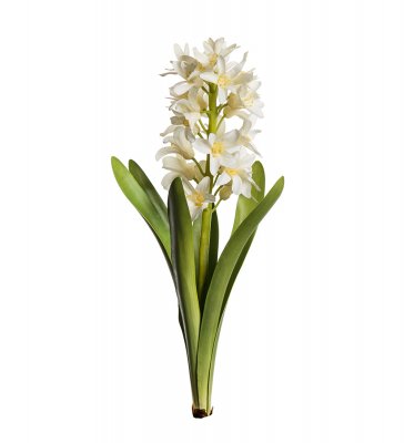Hyacint Vit 32cm