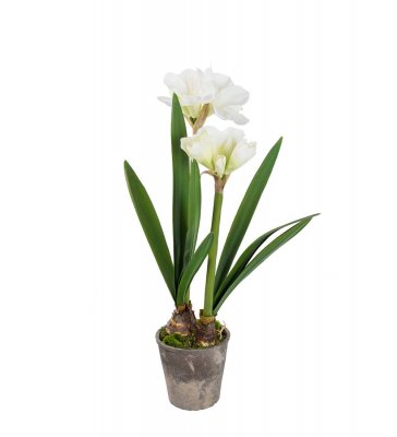 Amaryllis Vit 90cm, Konstgjord
