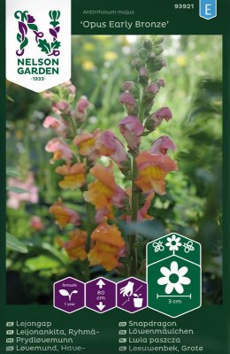 Lejongap, Opus Early Bronze F1