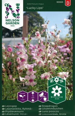 Lejongap, Lucky Lips