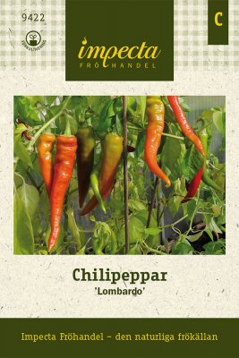 Chilipeppar Lombardo