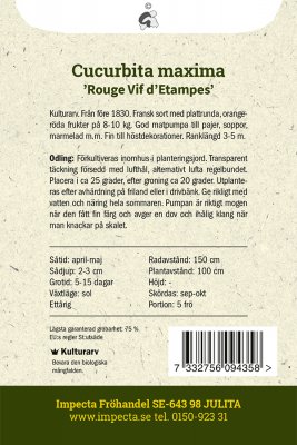 Pumpa, Mammut-, Rouge Vif d´Etampes