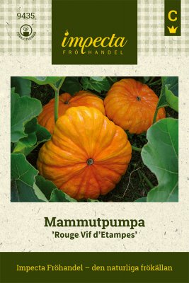 Pumpa, Mammut-, Rouge Vif d´Etampes