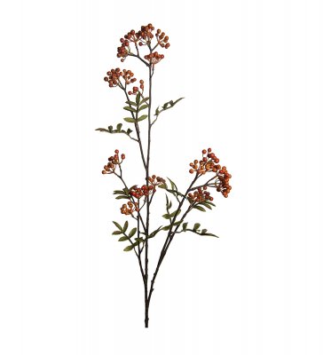 Bärkvist Orange 110cm