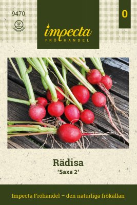 Rädisa Saxa 2
