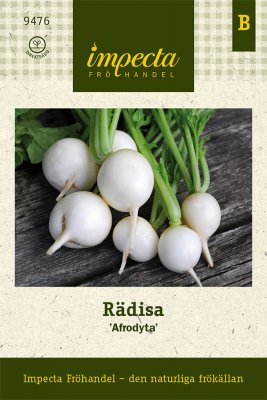 Rädisa, 'Afrodyta'