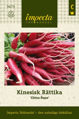 Rättika, Kinesisk, China Rose