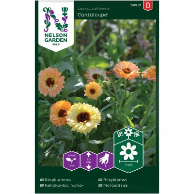 Ringblomma, Cantaloupe