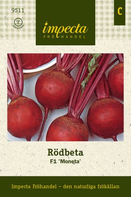 Rödbeta, 'Moneta' F1