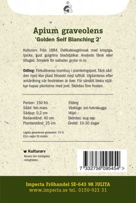 Selleri, Blek-, Golden Self Blanching 2