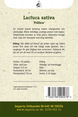 Sallat, Isbergs-, 'Frillice'
