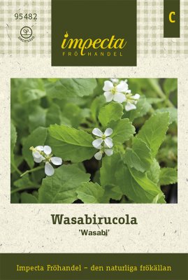 Rucola, Wasabi-, 'Wasabi'