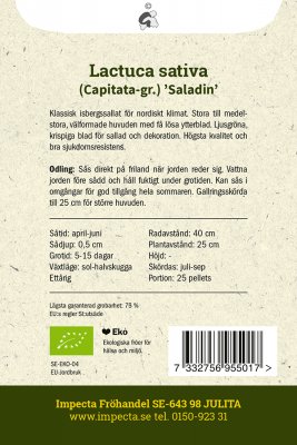 Sallat, Isbergs-, Saladin