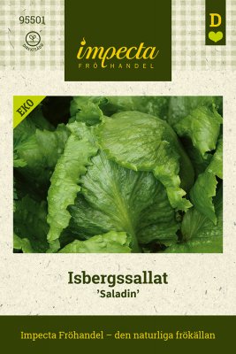 Sallat, Isbergs-, Saladin