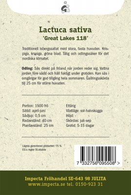 Sallat, Isbergs-, 'Great Lakes 118'
