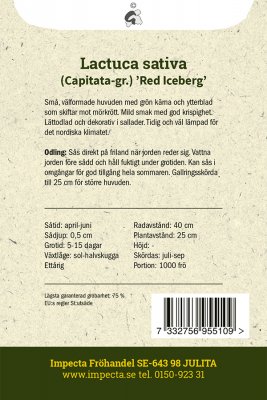 Sallat, Isbergs-, Red Iceberg
