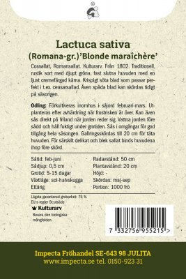Sallat, Bind-, Blonde maraîchère