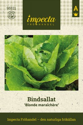 Sallat, Bind-, Blonde maraîchère