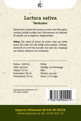 Sallat, Huvud-, Herkules