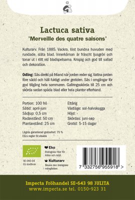 Sallat, Huvud-, 'Merveille Des Quatre Saisons', Ekologisk