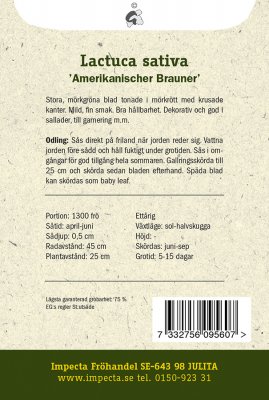 Sallat, Plock-, 'Amerikanischer Brauner'