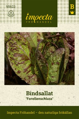 Sallat, Bind-, Forellenschluss