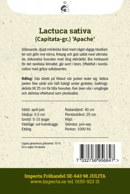 Sallat, Huvud-, Apache