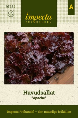 Sallat, Huvud-, Apache