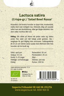 Sallat, Plock-, Salad Bowl Rossa, Ekologisk