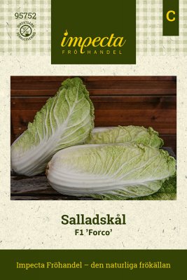 Salladskål F1 Forco