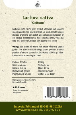 Sallat, Sparris-, 'Celtuce'