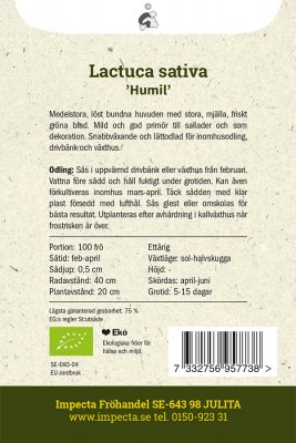 Sallat, Driv-, Humil, Ekologisk