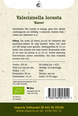Sallat, Vinter-/Maché-, 'Baron', Ekologisk