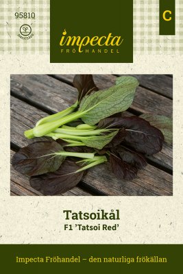 Kål, Asiatisk-, F1 Tatsoi Red