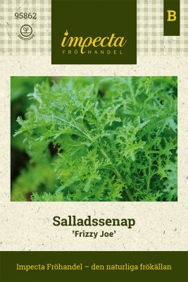 Salladssenap, Frizzy Joe