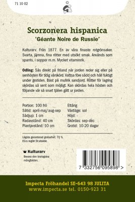 Svartrot, 'Géante Noire de Russie'