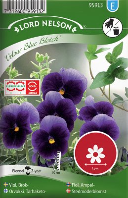 Viol, Brok-, 'Velour Blue Blotch'