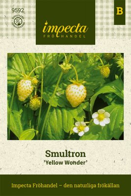 Smultron, Yellow Wonder