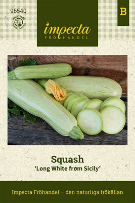 Squash, Long White from Sicily