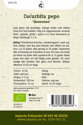 Squash, 'Genovese', Ekologisk