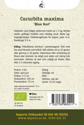 Squash, Vinter-, 'Blue Kuri', Ekologisk