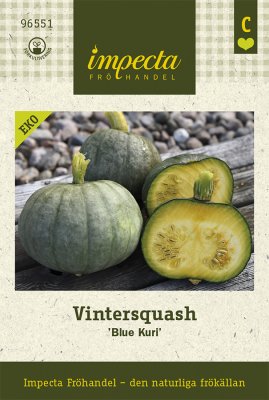 Squash, Vinter-, 'Blue Kuri', Ekologisk