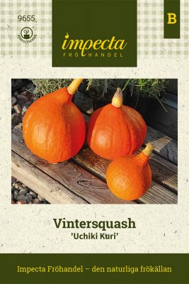 Squash, Vinter-, Hubbardpumpa, Uchiki Kuri