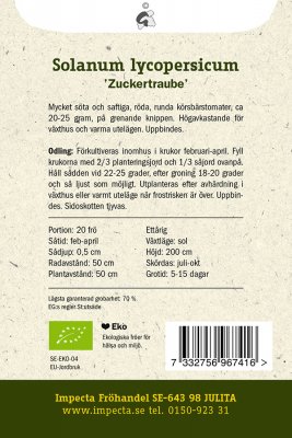 Tomat, Körsbärs-, 'Zuckertraube', Ekologisk
