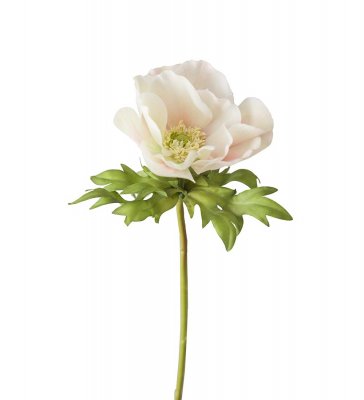 Anemon Rosa 43cm
